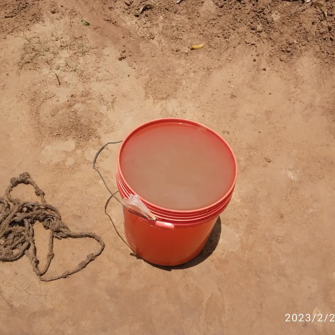 Children and water needs